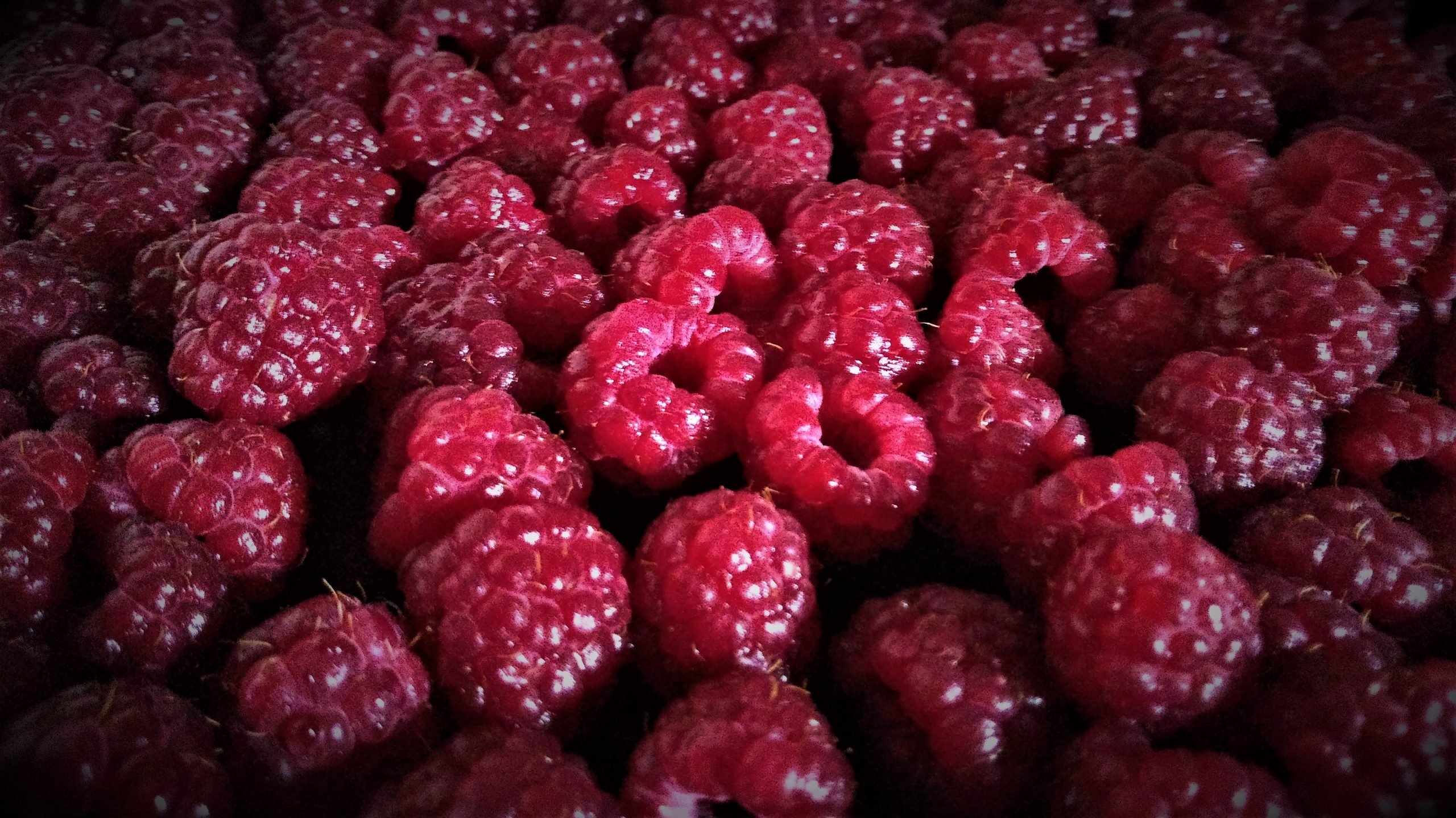 raspberries