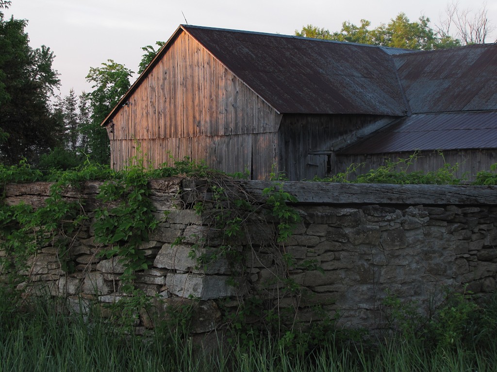 Barn in the morning sun