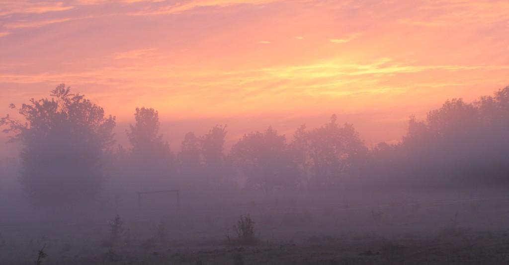 Sunrise on the Ranch