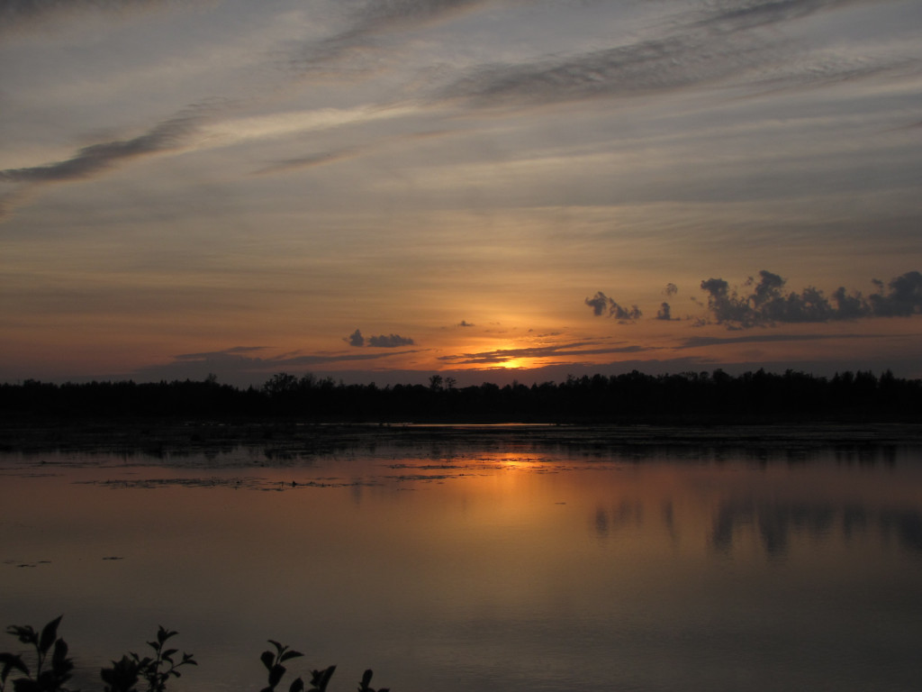 Wetlands Sunset