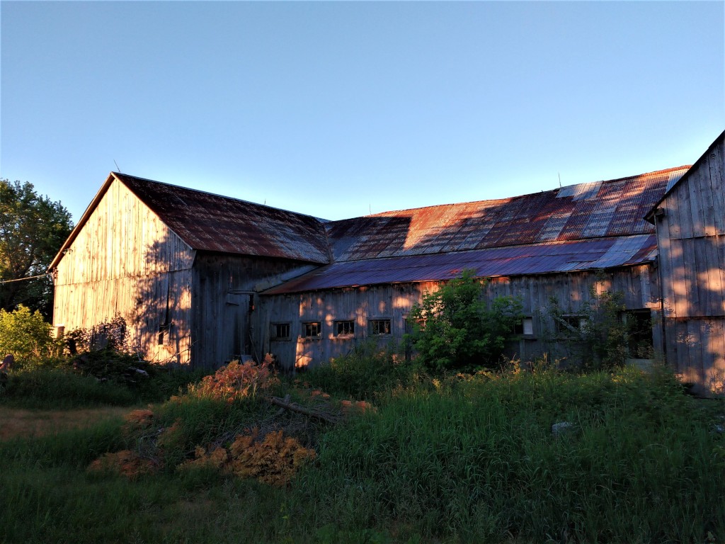 Barn in the morning light