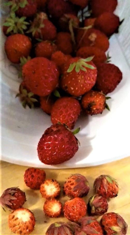 Mmmm, Strawberries